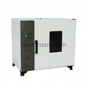 SR-DO101-1A Digital Electric Heating Blast Drying Oven